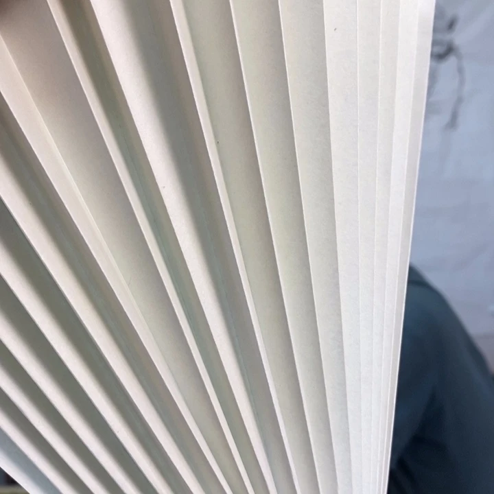 灯***燃书法孙老师扇面18