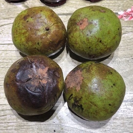 桃核吊坠核桃核桃