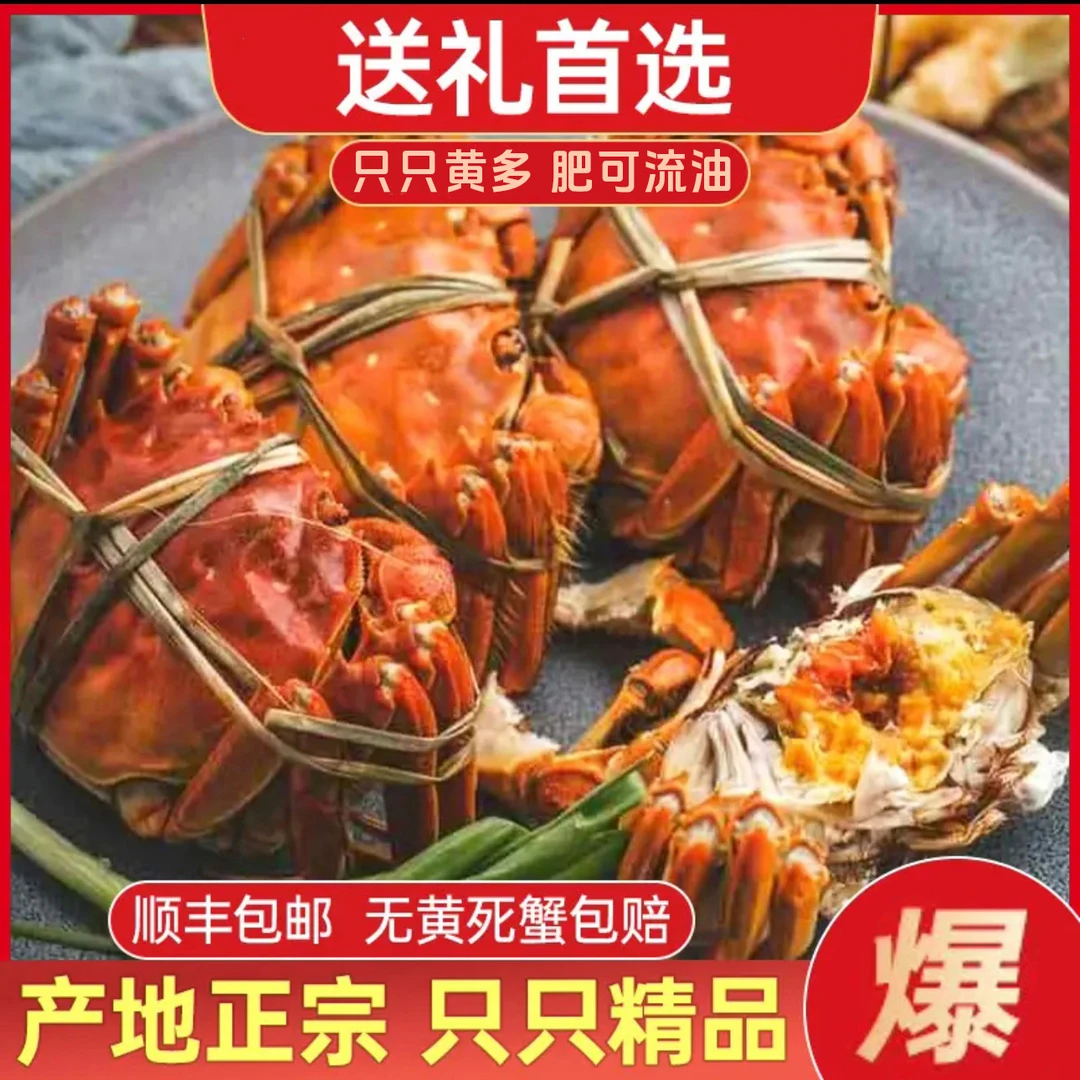 【到手30只左右】盘锦河蟹全母蟹单只0.8-1两  顺丰包邮