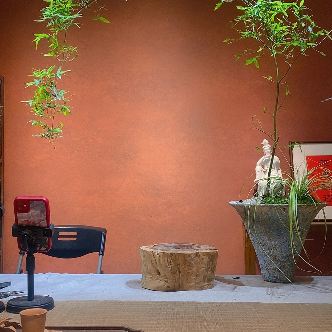 嘻***3无花朵老桩精品竹盆景作品