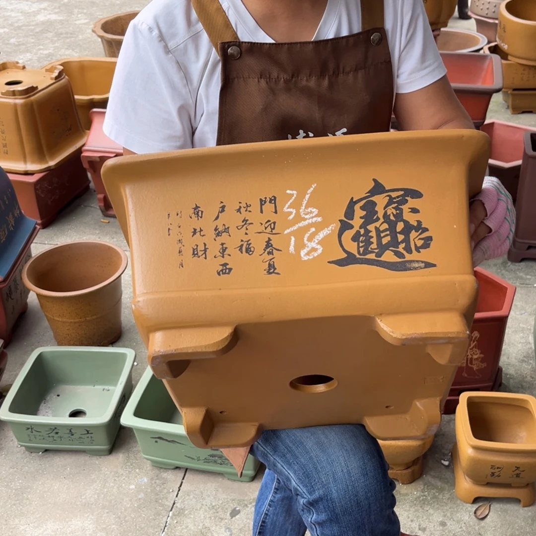 花盆紫砂盆景艺术