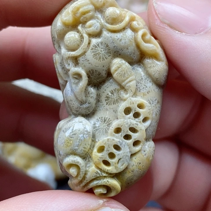 颈饰未镶嵌硅化珊瑚（珊瑚玉）