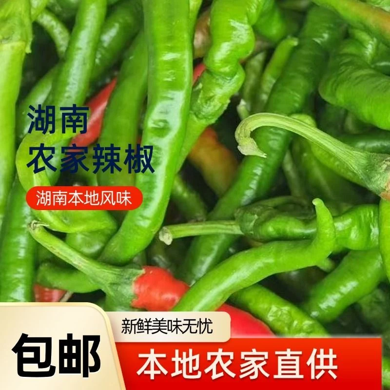 湖南本地现摘辣椒新鲜香辣中辣微辣尖椒青椒自种蔬菜薄皮辣椒