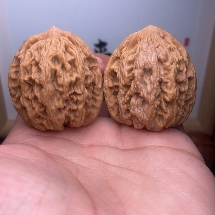 核桃全品小尺麦虎