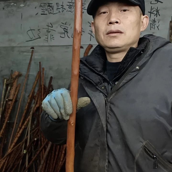稳定木平***1贵州檬子木   铁马鞭   根艺  半成品
