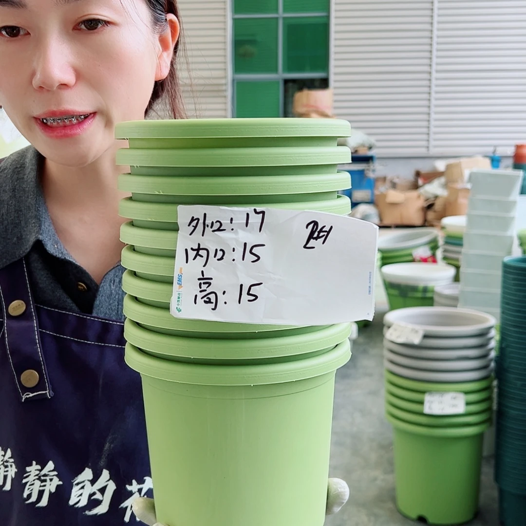 四季盆2#果绿10个无托