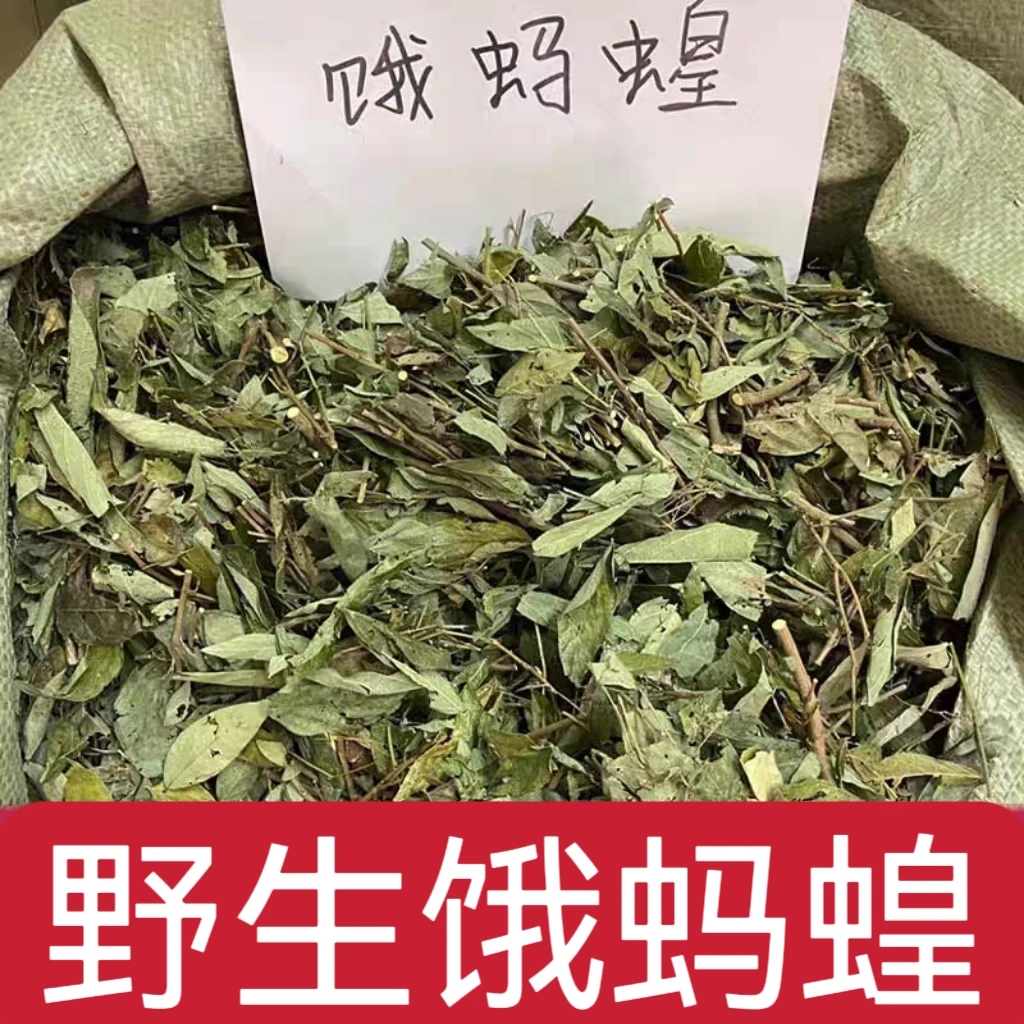 广西饿蚂蝗100g-1000g小槐花叶菜粘身草红掌草山蚂蝗草干货