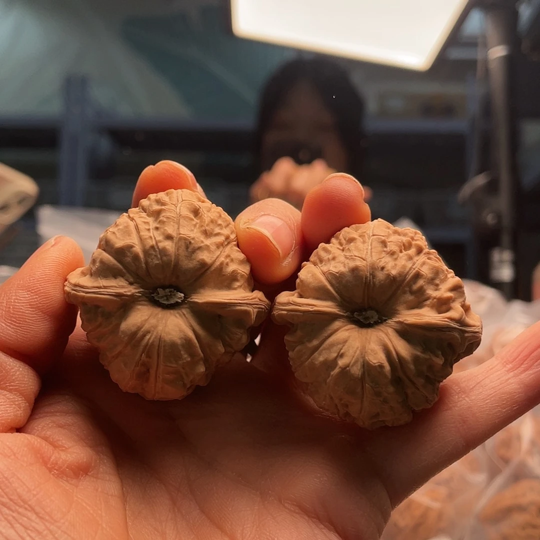 南瓜31.8咯啊喽我