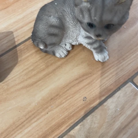 有机玻璃摆件摆件摆件摆件摆件不