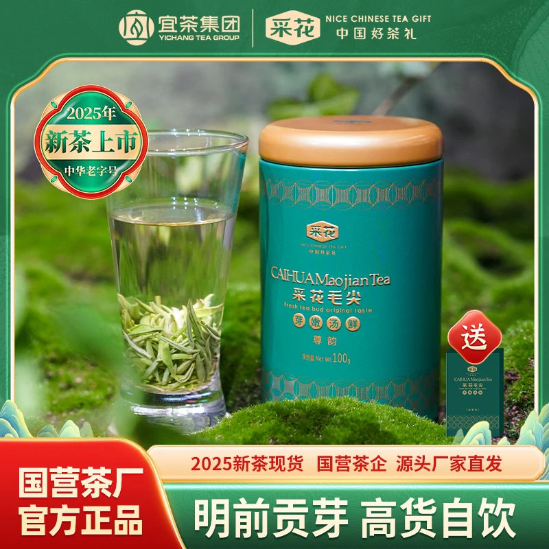 采花【2025新茶现货】 采花毛尖尊韵品鲜100g罐装芽茶特级春茶