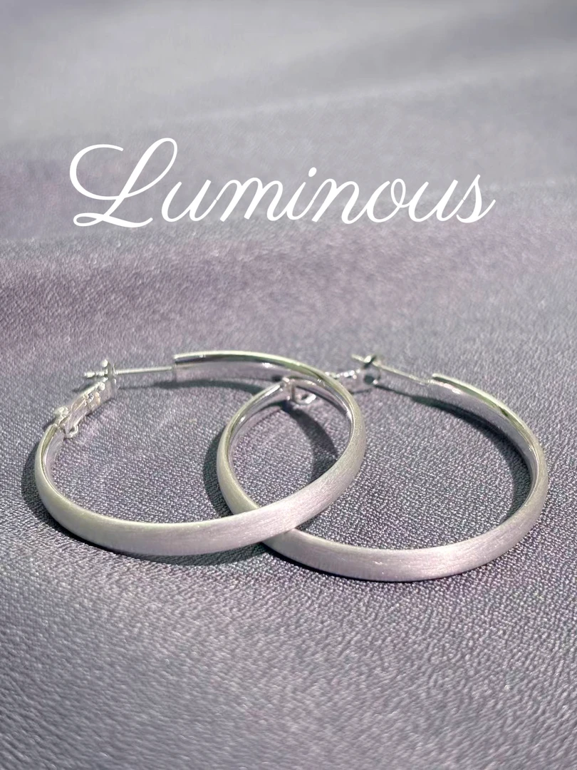 铜合金耳饰 A020圈圈银色耳环经典百搭气质时尚简约素圈磨砂