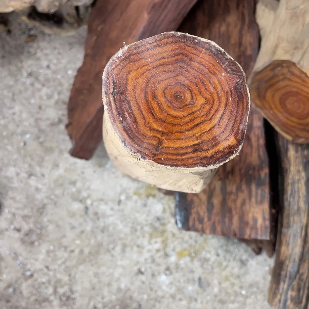 桃***运定制不退不换4.0手球