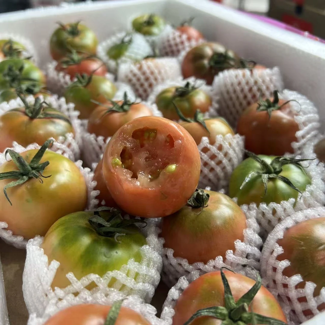 碱地草莓柿子(惠鲜水果)