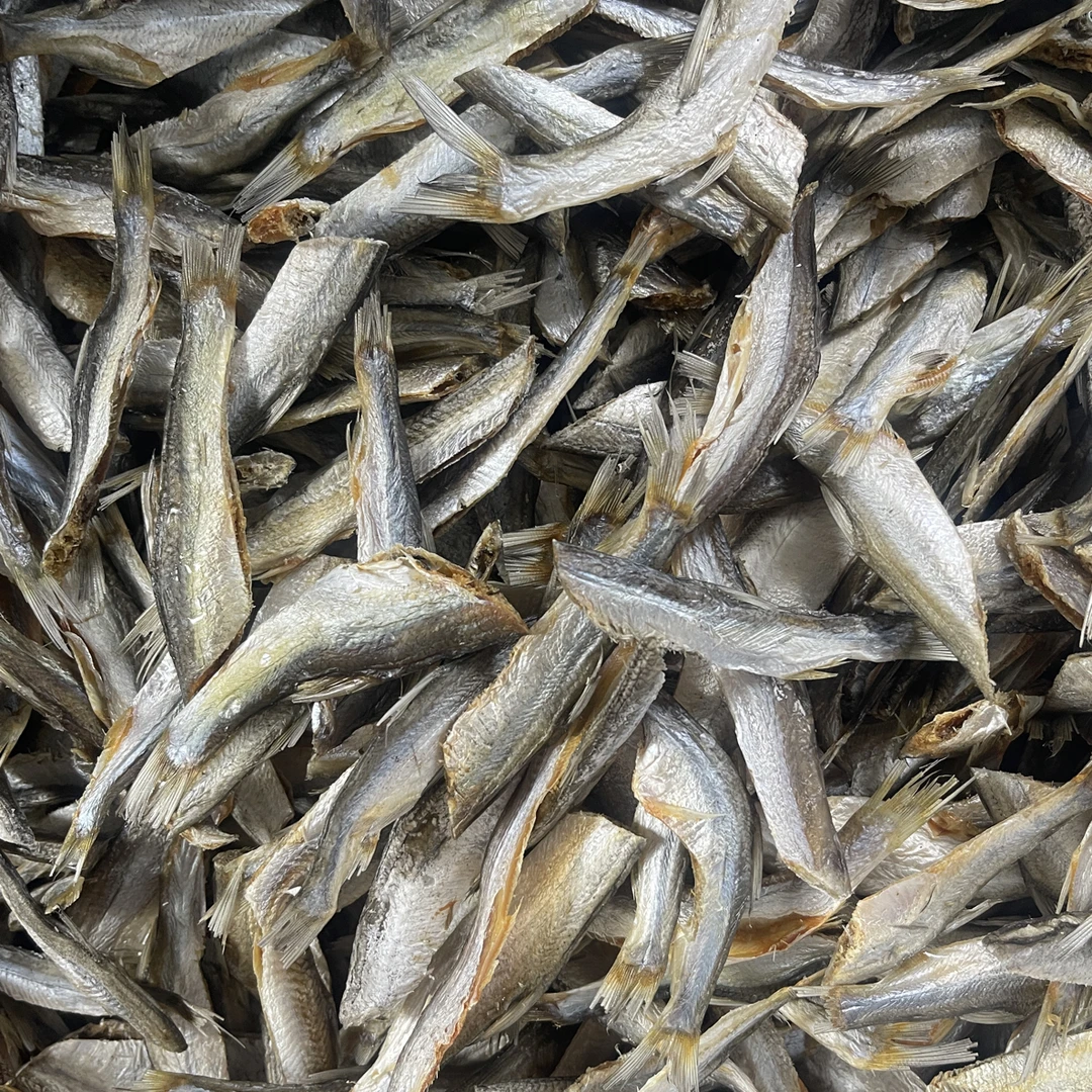 去头微瑕参条鱼10-15cm左右