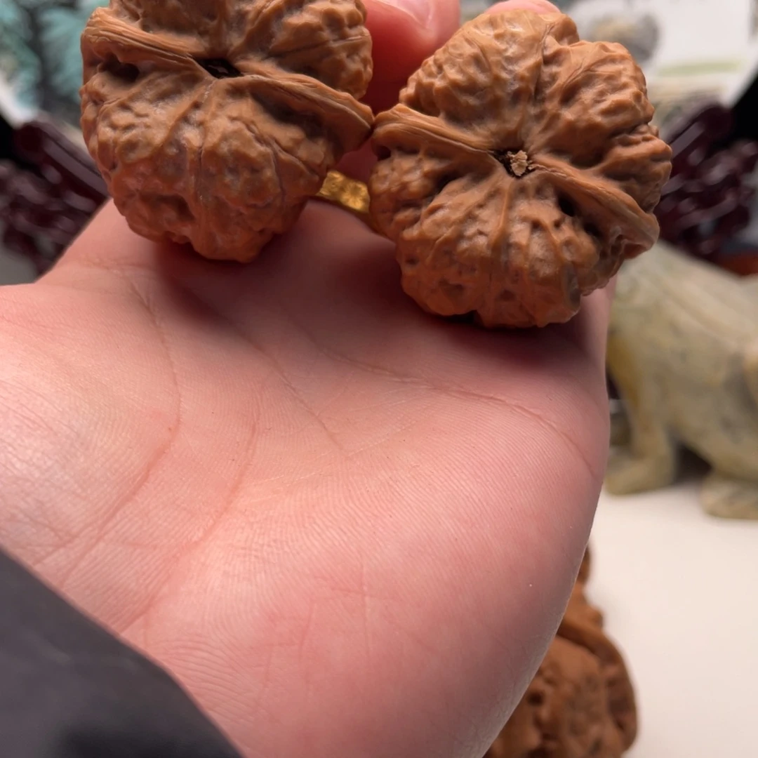 飛***屬核桃蛤蟆头文玩C15