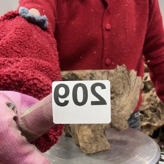 洋*洋紫砂的味道很好闻啊好