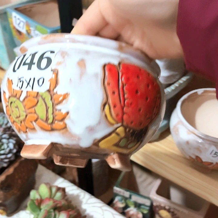 多肉花盆满15包邮