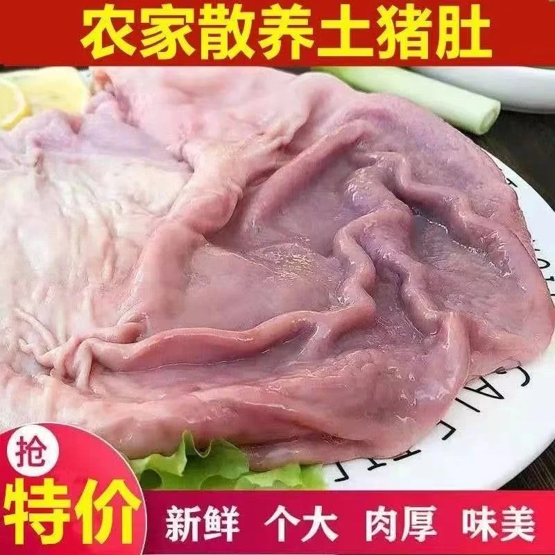 正宗农家散养土猪新鲜现杀猪肚 猪肠 猪肝 内脏