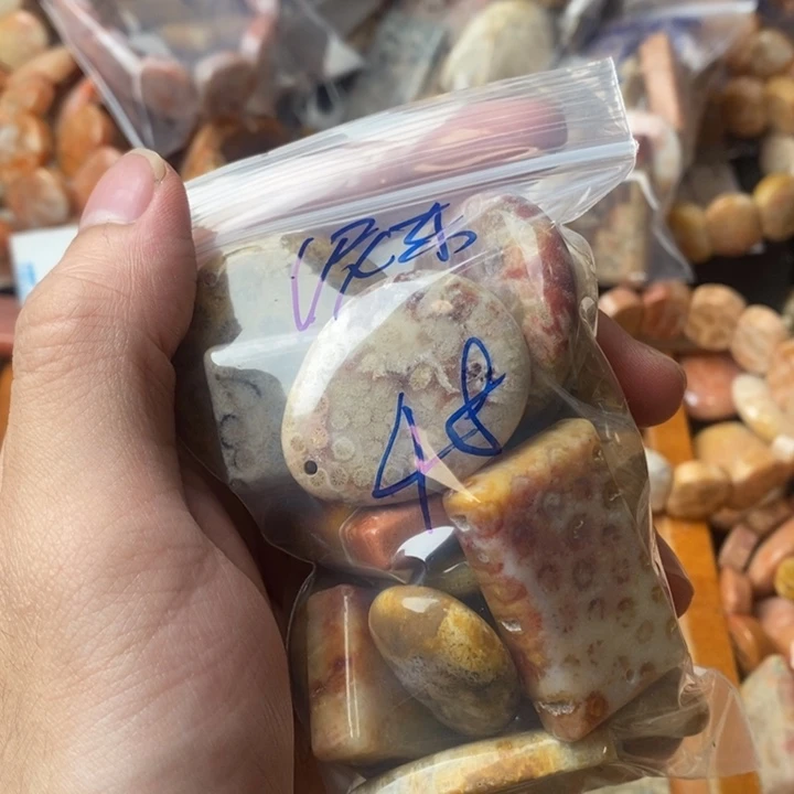 泥***家颈饰未镶嵌硅化珊瑚（珊瑚玉）