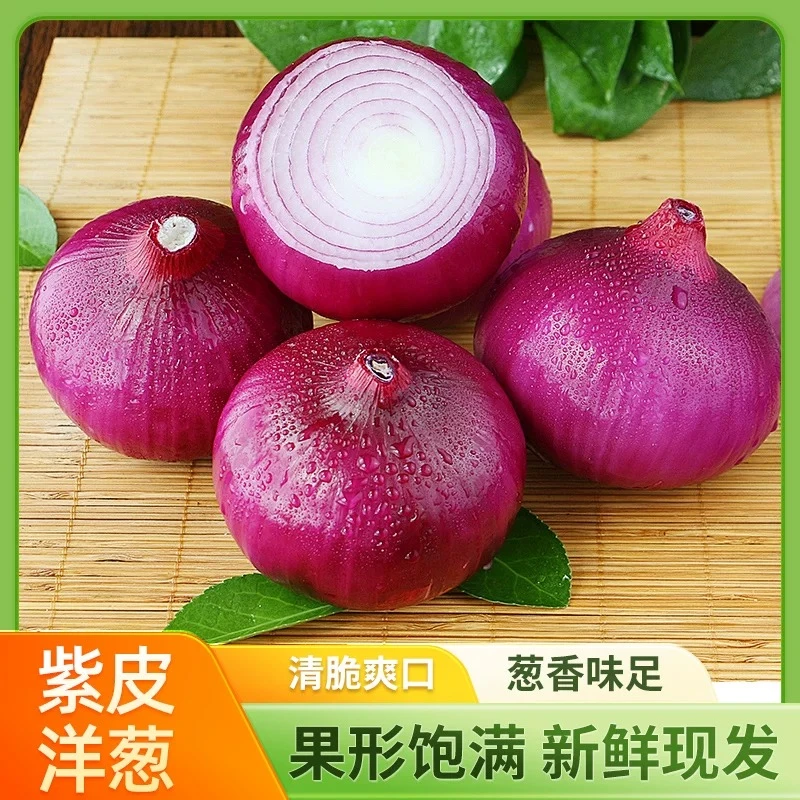 2025河南新鲜紫皮洋葱 圆葱 可生吃 脆甜 5斤
