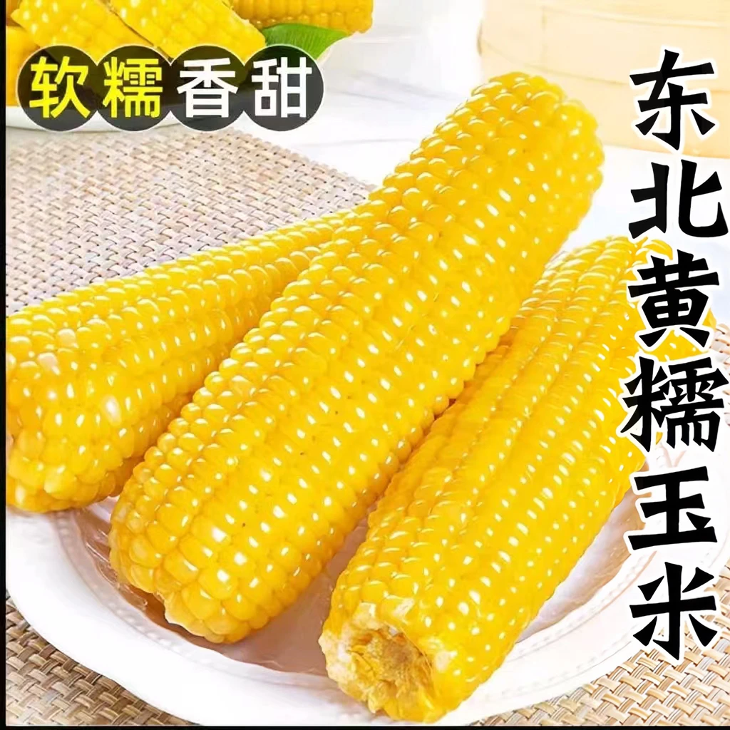东北黄白糯玉米大棒组合（5根白玉米 .5根黄玉米/整箱10根）