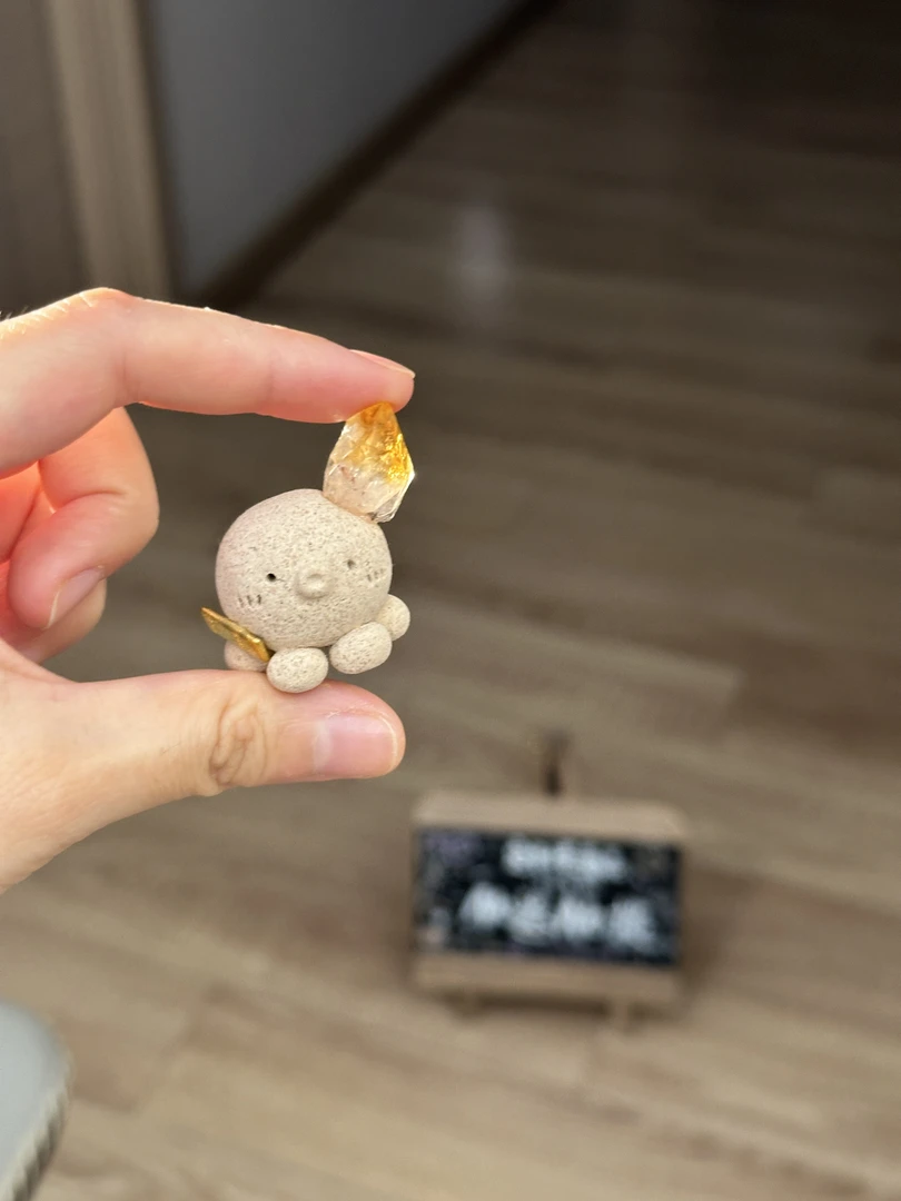水晶小豆丁章鱼保罗1