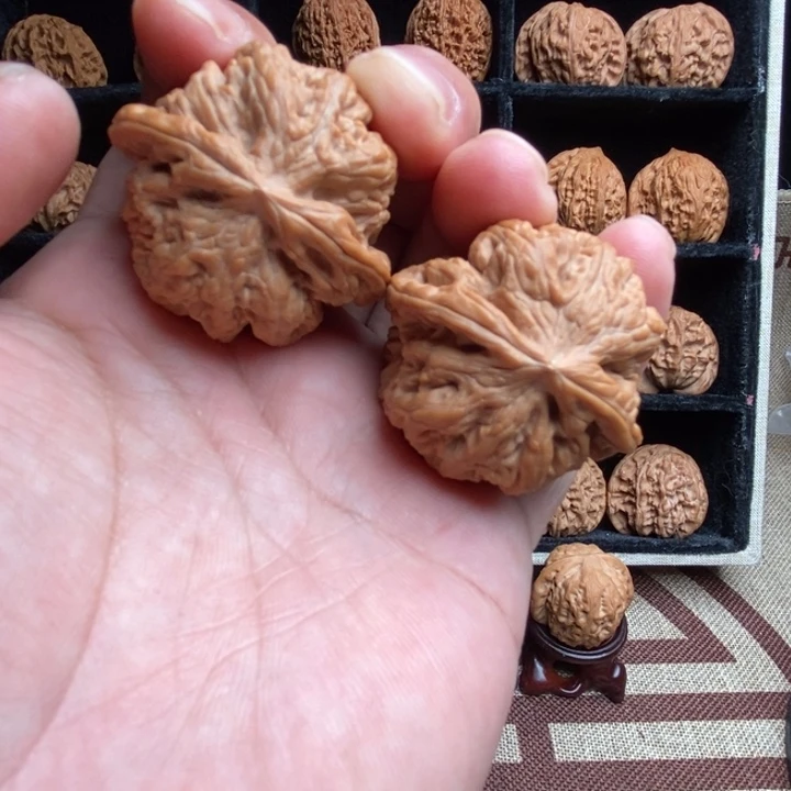 全品大粗筋40尺寸