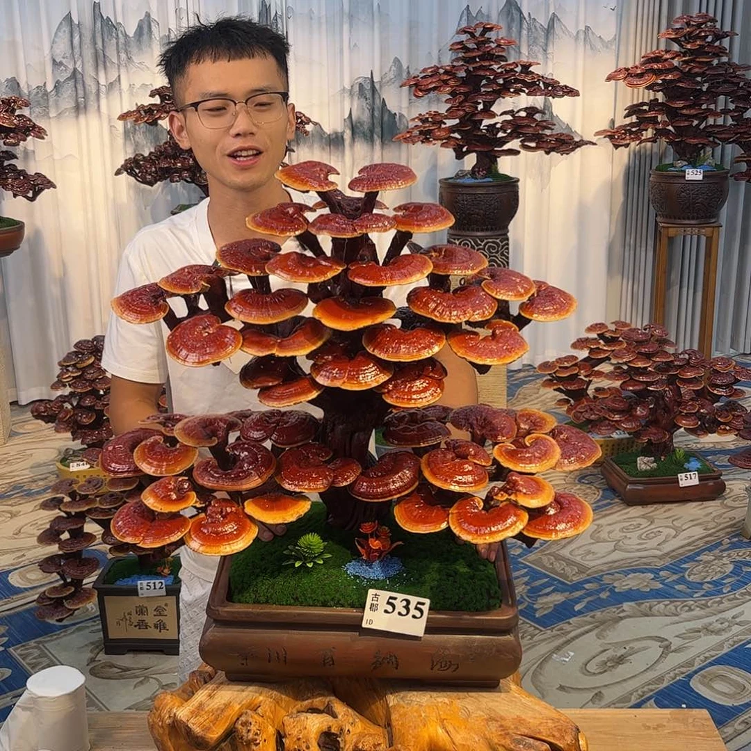 无花朵88888888888