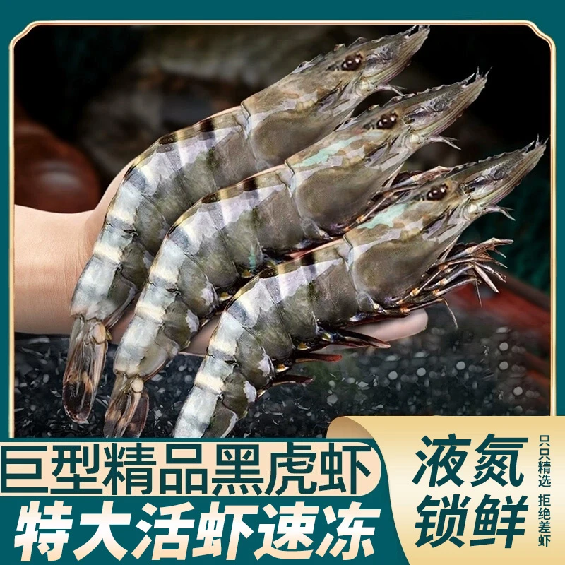 2030特大黑虎虾 三斤液氮锁鲜斑节虾老虎虾海鲜单只冷冻顺丰直发