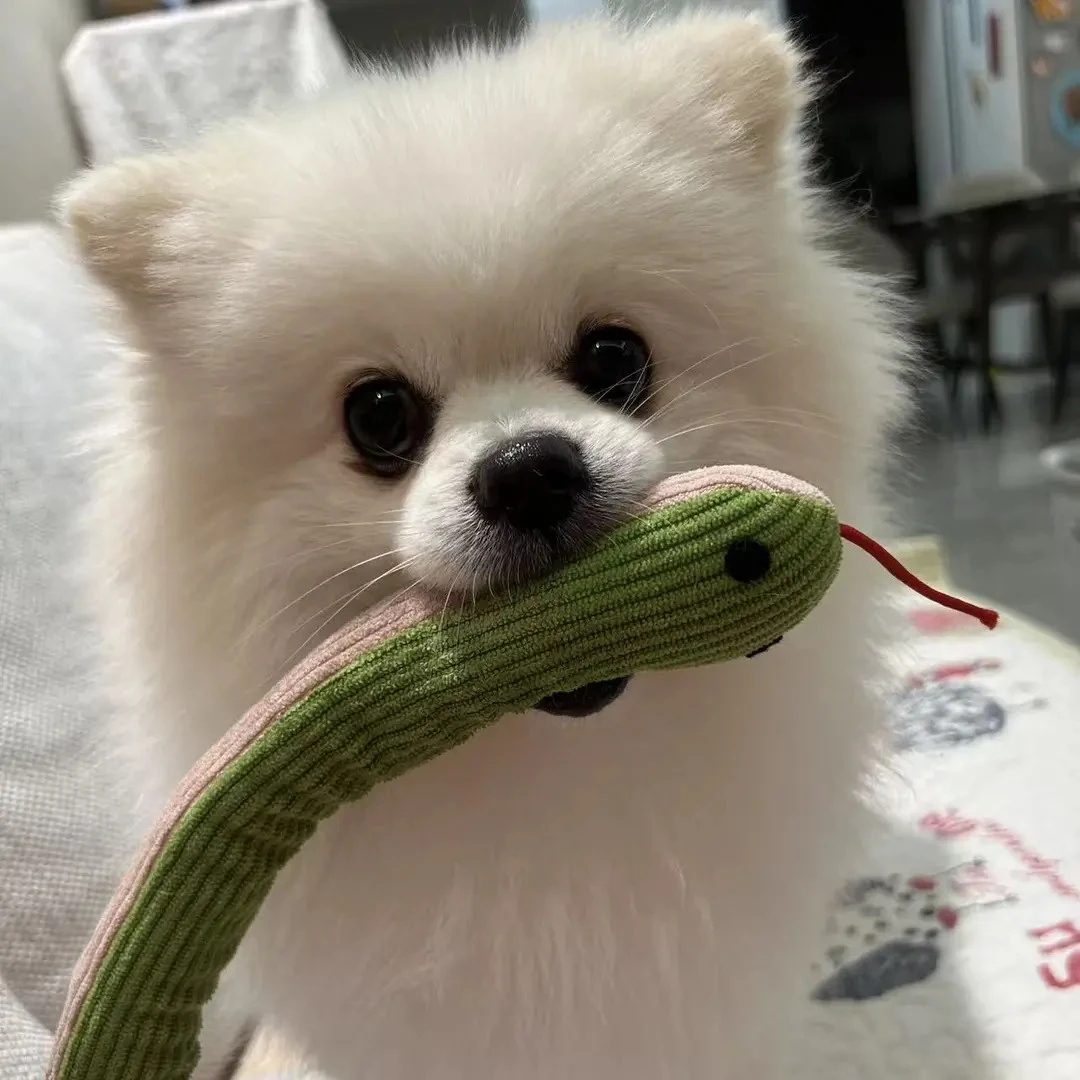 狗狗玩具蛇自嗨解闷甩头耐抓咬磨牙响纸小蛇玩偶逗狗逗猫激发捕猎