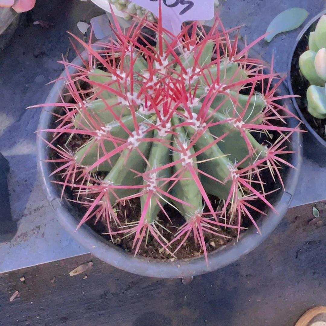 @***姐000000000000000563