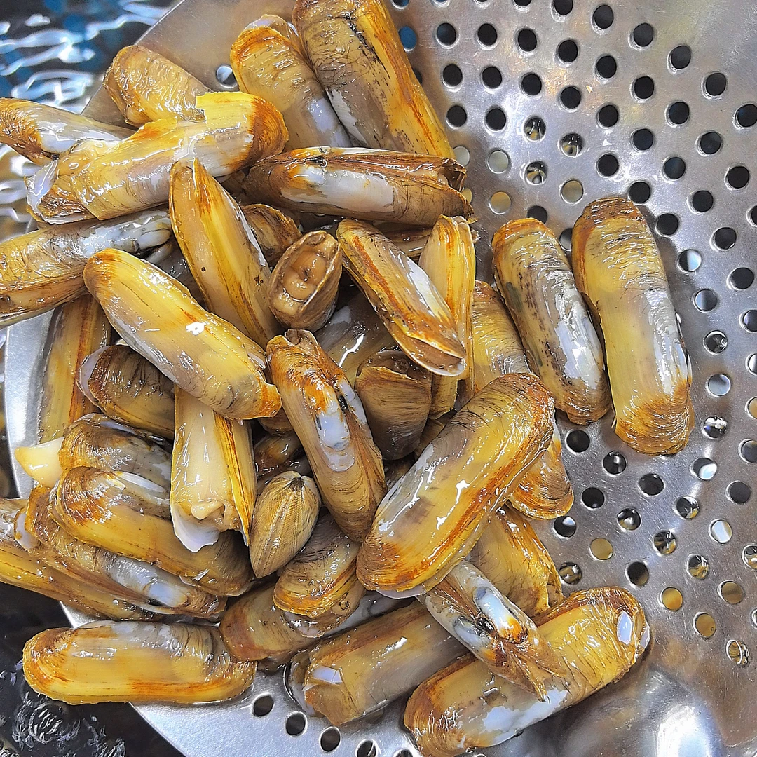 鲜活蛏子（1斤装）