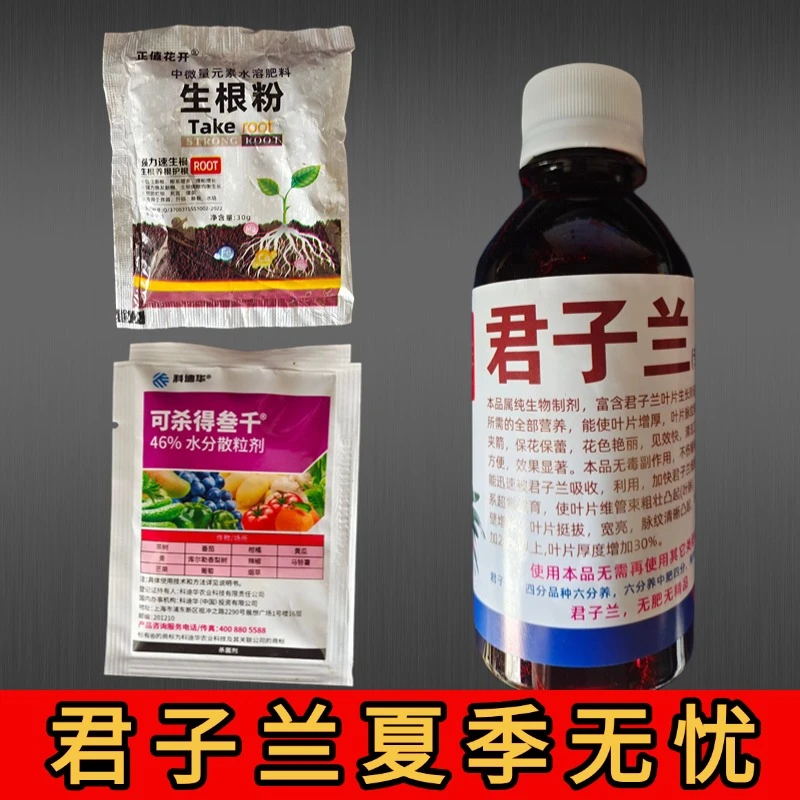 大莹推荐养兰无忧