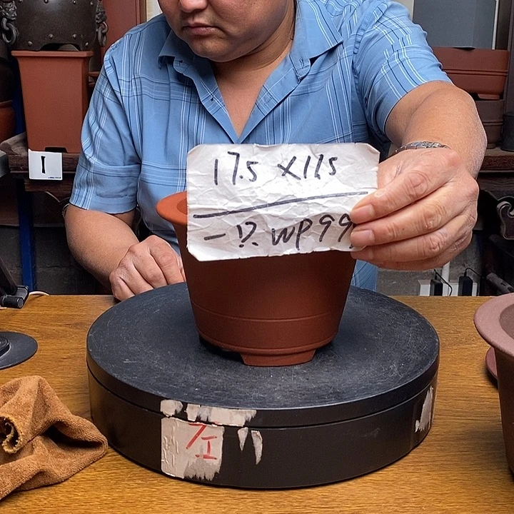 紫砂货号一只WP555