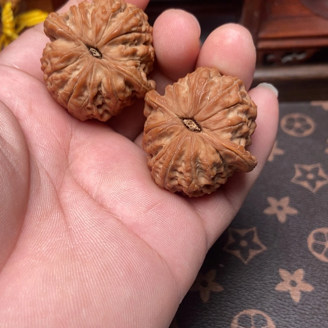 大叶紫檀（黑酸枝木类）