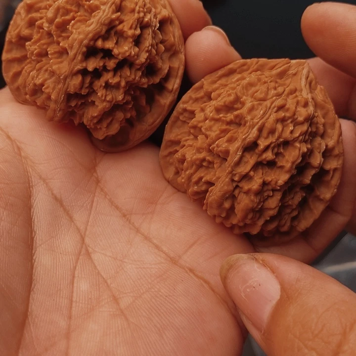 核桃满天星43尺核桃