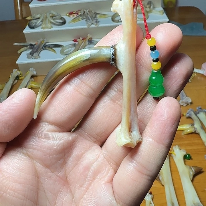 鸡骨（鸡脚）把件胖**新鸡爪骨