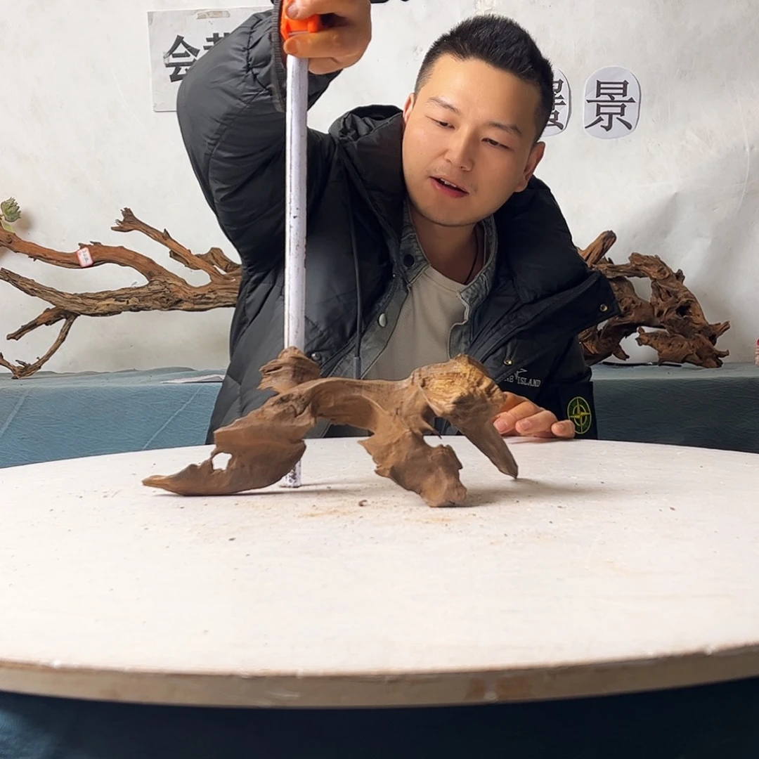 32.13.15 沉木造景爬宠造景