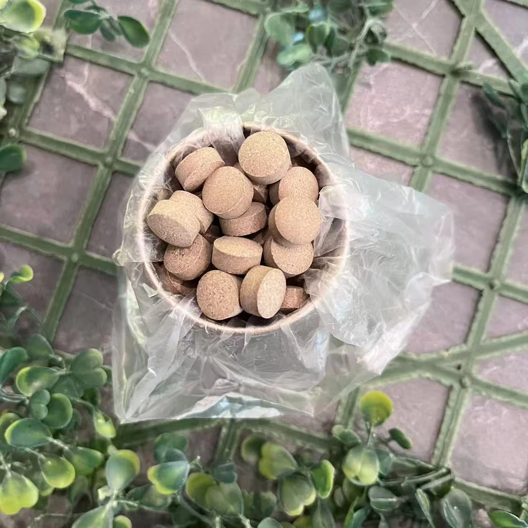 雨腾古茶  Y圣“N S”万应LY一粒Y倍30g/罐（12月21）