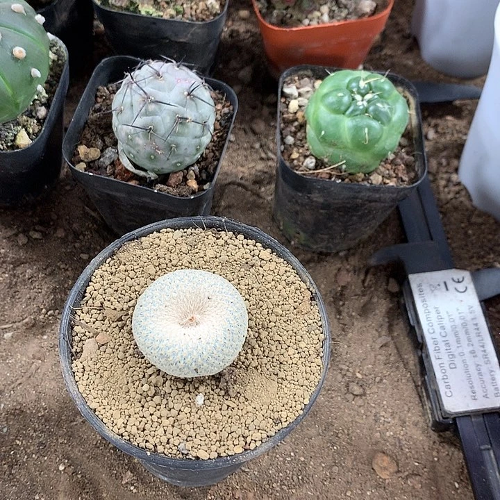 岁***。68395963959695686