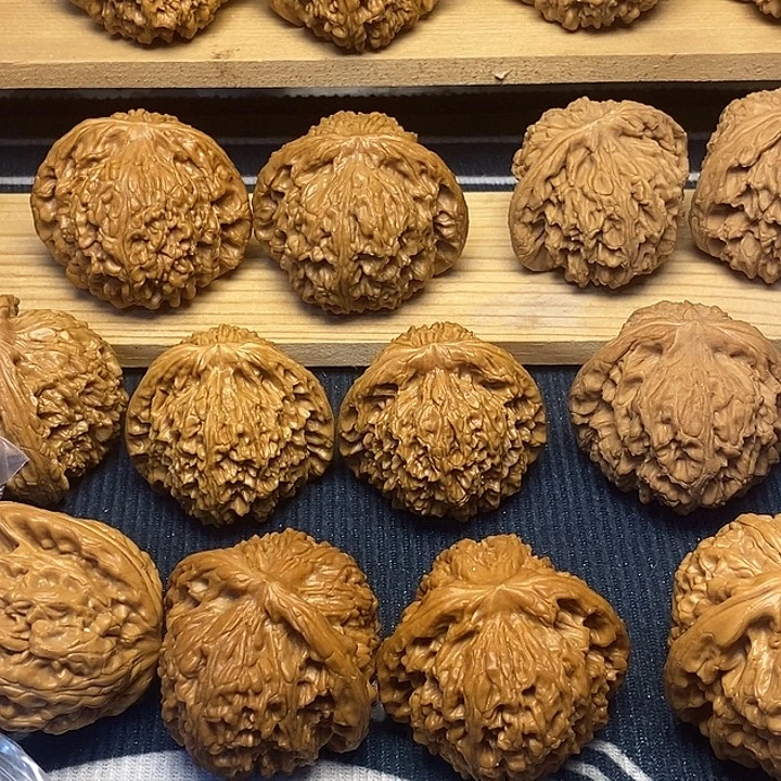 *****核桃50大龙鼎福利