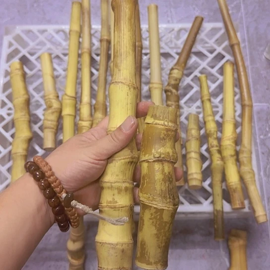 竹类实心玉竹实心玉竹