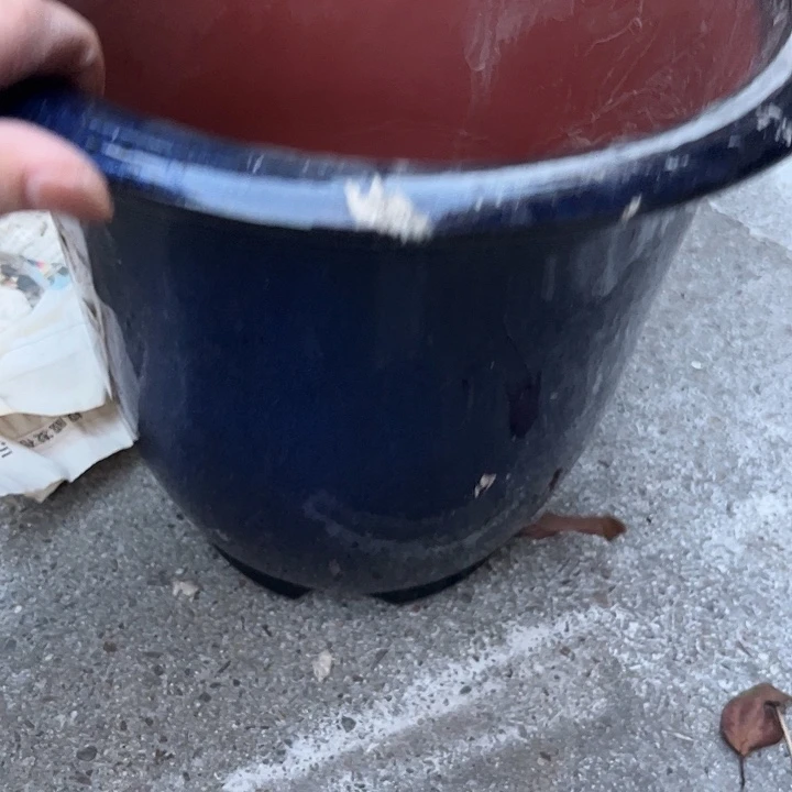 山***仙其他紫砂885855858888888888