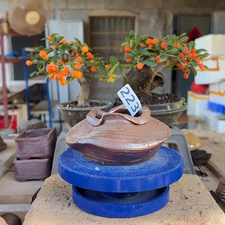 5.6x4.5//////////////////223