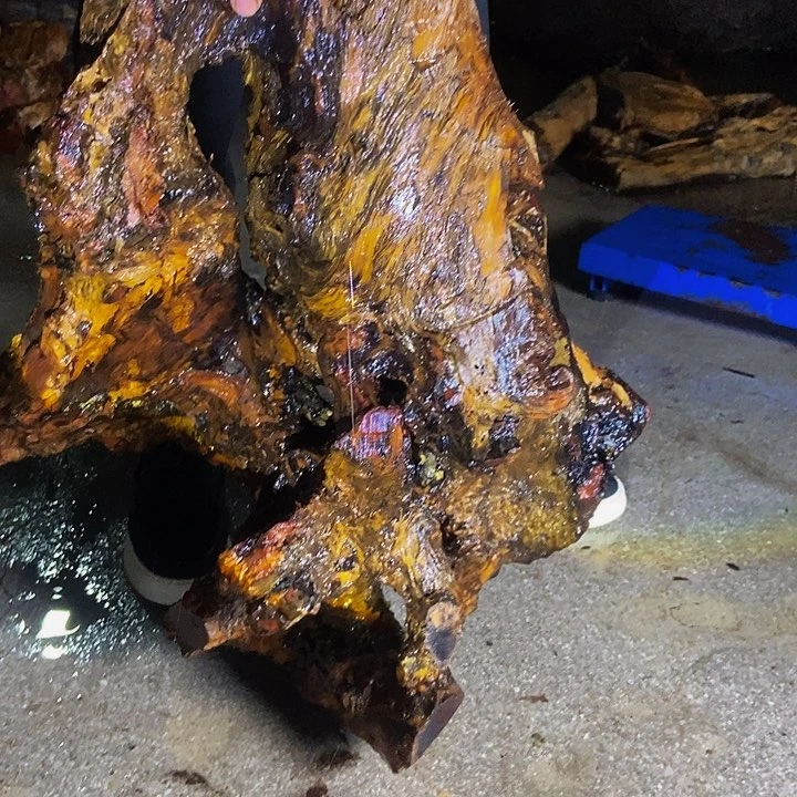 楠木（金丝楠）其他无*