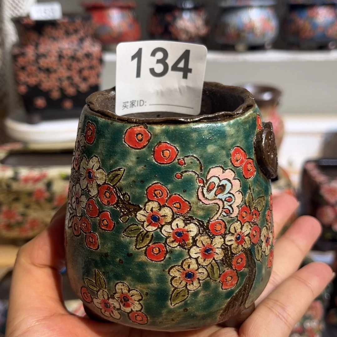 发***橙134专拍一个盆@@@