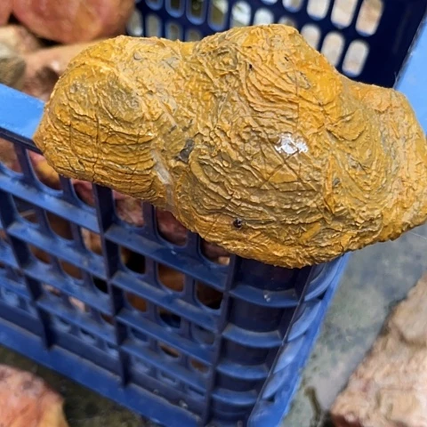 钓*家居装修效果图