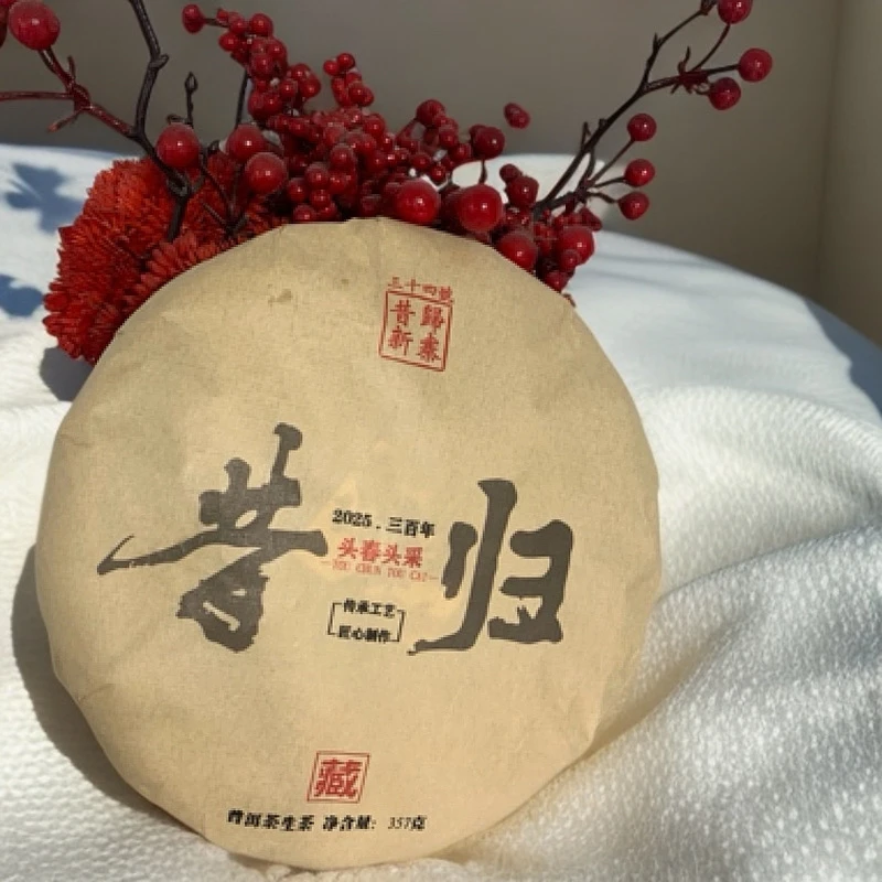 头春【昔归茶王地】2025年昔归核心区古树头春头采357克饼（花蜜香）