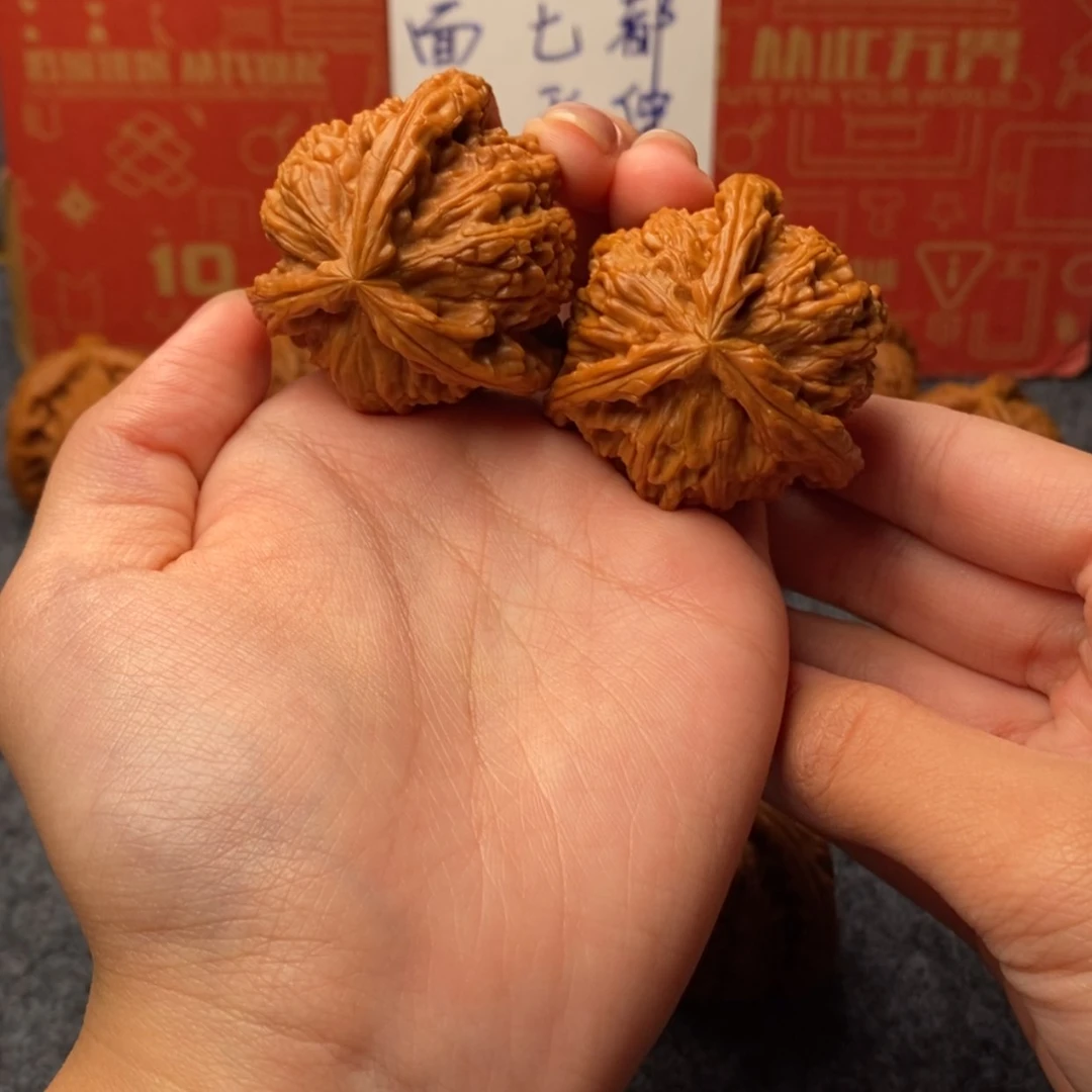 【闪购商品】执*白狮子1111