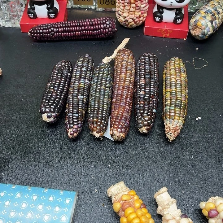 彤***^柏香籽/百香籽吊坠